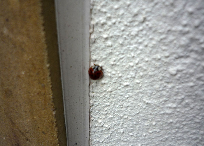 london sealant services gallery